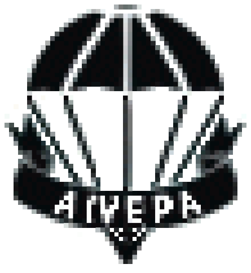AIVEPA25
