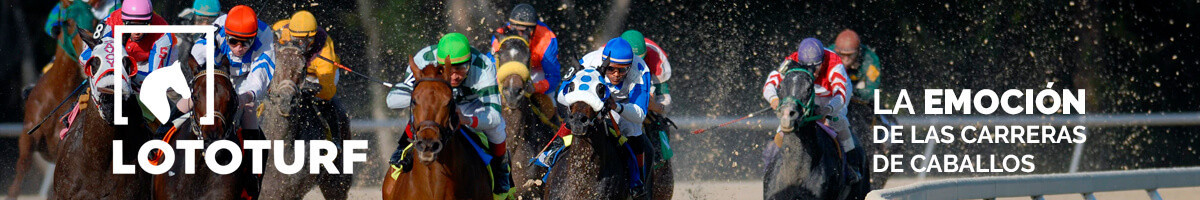    Imagen 2 para promocionar la tienda Lotería 13125